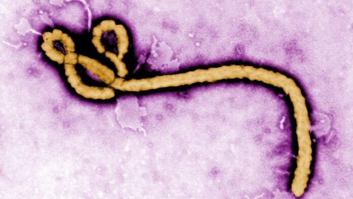 1780017108_Ebola-virus-782x440.jpg Υγειονομικοί με προστατευτικό εξοπλισμό σε χωριό του Κονγκό ενώ αναφέρουν Έμπολα στο Κονγκό και ελέγχουν ασθενείς