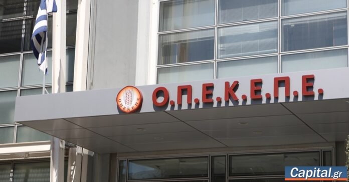 Αστυνομικοί μετά από έρευνα σε ΚΥΔ με κατασχεμένα έγγραφα για την απάτη ΟΠΕΚΕΠΕ στην Κρήτη
