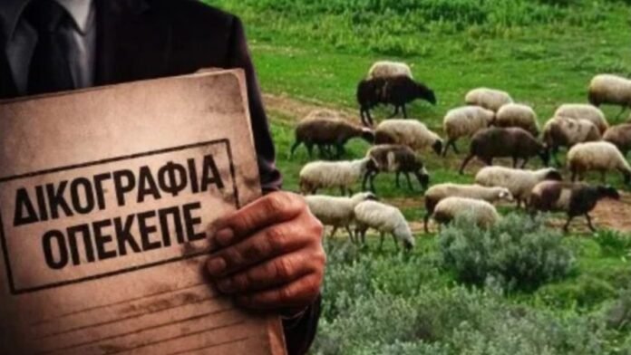 opekepe.jpg Μέλη της Επιτροπής CONT και αστυνομικοί σε συντονισμένη επιχείρηση σχετικά με το σκάνδαλο ΟΠΕΚΕΠΕ και τις συλλήψεις