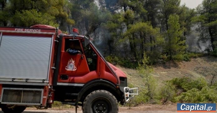 Ρεπορτάζ για πυρκαγιές από αμέλεια με συλλήψεις σε Δομοκό και Σαλαμίνα και επιβολή προστίμων